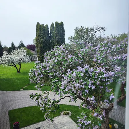 Apartman Ptice アパート