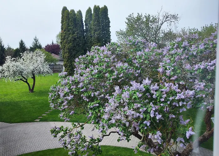 Apartmán Ptice Apartman